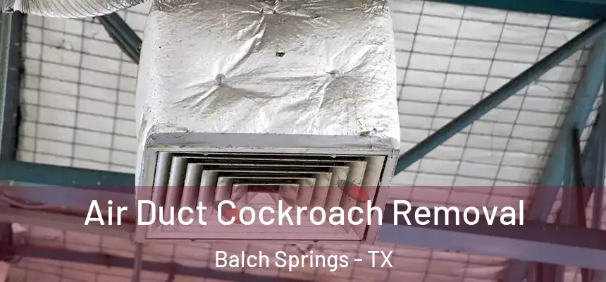  Air Duct Cockroach Removal Balch Springs - TX