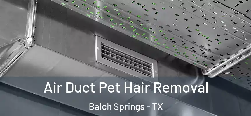 Air Duct Pet Hair Removal Balch Springs - TX