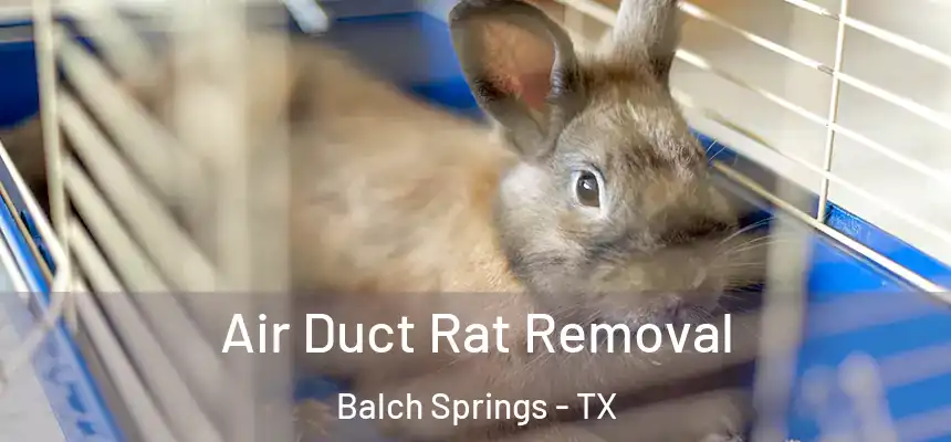  Air Duct Rat Removal Balch Springs - TX