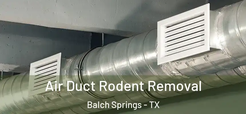  Air Duct Rodent Removal Balch Springs - TX