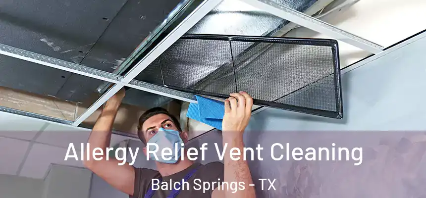  Allergy Relief Vent Cleaning Balch Springs - TX