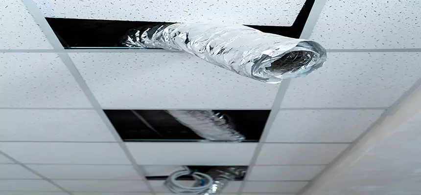 Our Air Duct Pet Hair Removal Services in Balch Springs, TX