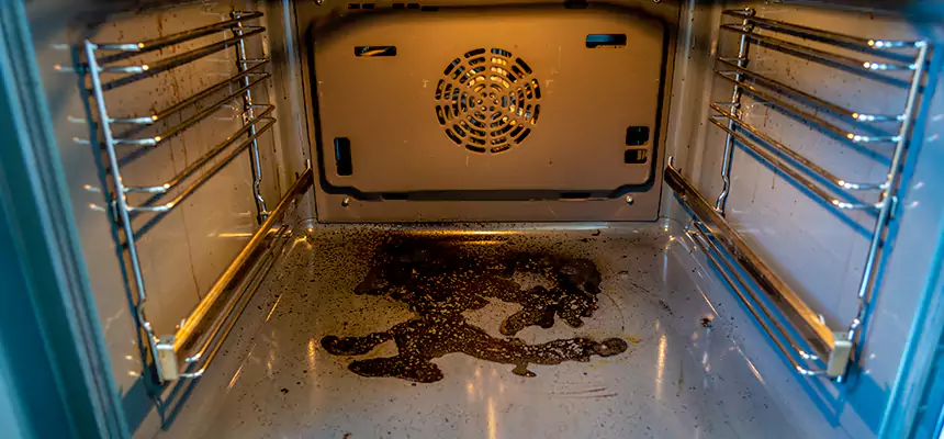 Our Dryer Vent Mold Cleaning Services in Balch Springs, TX