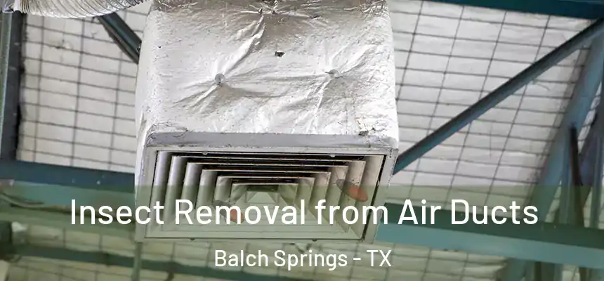  Insect Removal from Air Ducts Balch Springs - TX