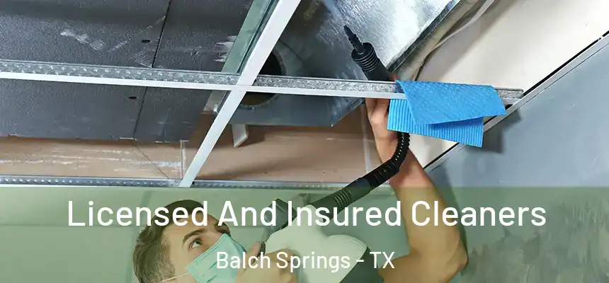  Licensed And Insured Cleaners Balch Springs - TX