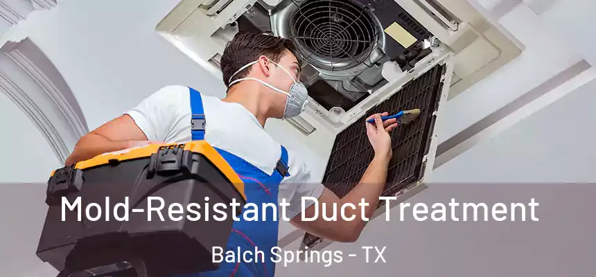  Mold-Resistant Duct Treatment Balch Springs - TX