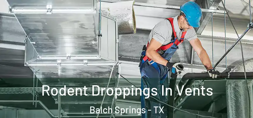  Rodent Droppings In Vents Balch Springs - TX
