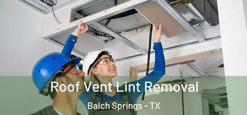  Roof Vent Lint Removal Balch Springs - TX