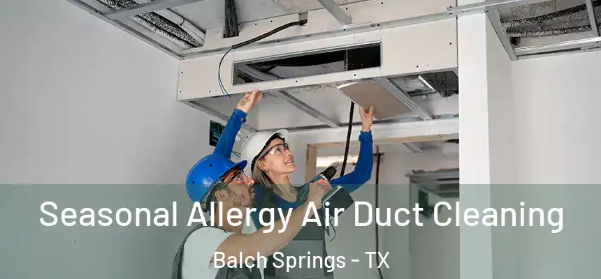  Seasonal Allergy Air Duct Cleaning Balch Springs - TX