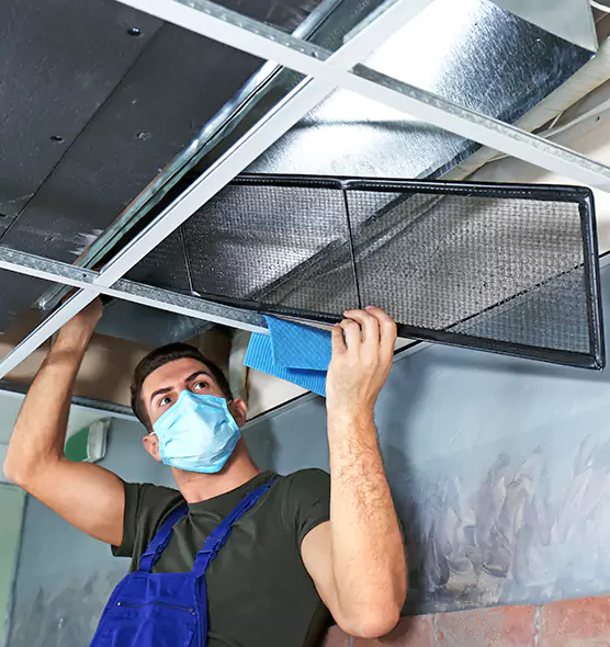 About Air Duct Bacteria Removal in Balch Springs