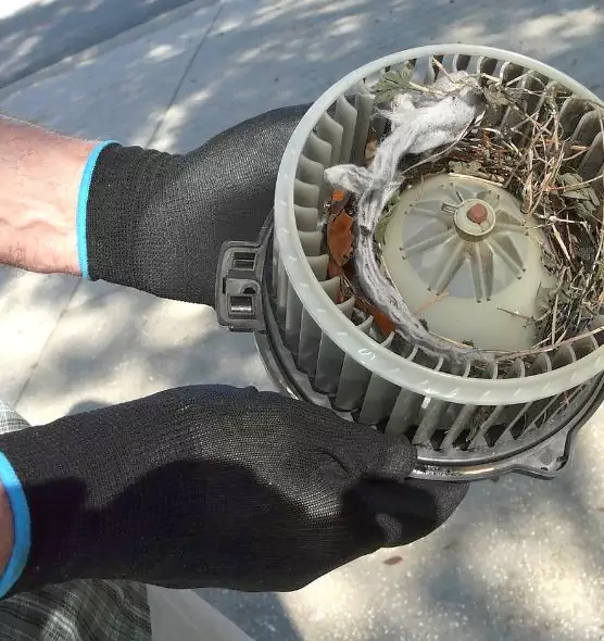 About Air Duct Mice Removal in Balch Springs, TX