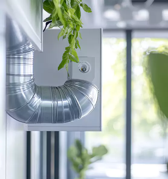 Professional Eco-Safe Dryer Vent Cleaning in Balch Springs, TX