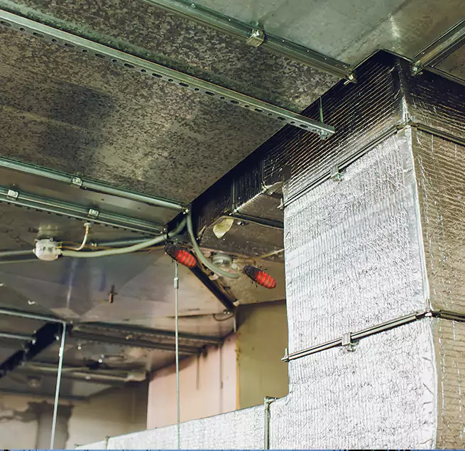 Why Homeowners & Businesses Trust Us in Balch Springs, TX?