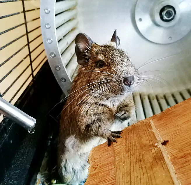 Why Homeowners & Businesses Trust Us Balch Springs, TX?