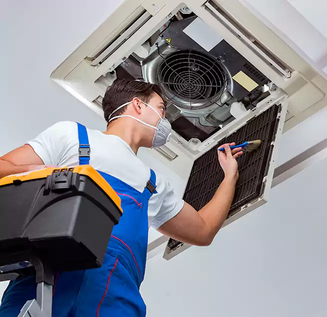 Why Homeowners & Businesses Trust Us in Balch Springs, TX