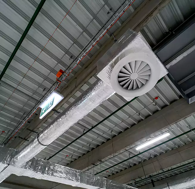 Why Homeowners & Businesses Trust Us in Balch Springs, TX