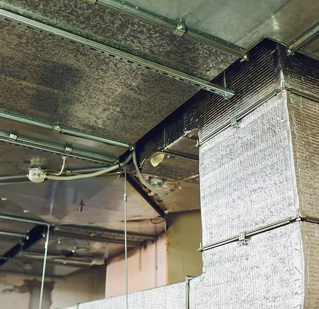 Why Homeowners & Businesses Trust Us in Balch Springs, TX?